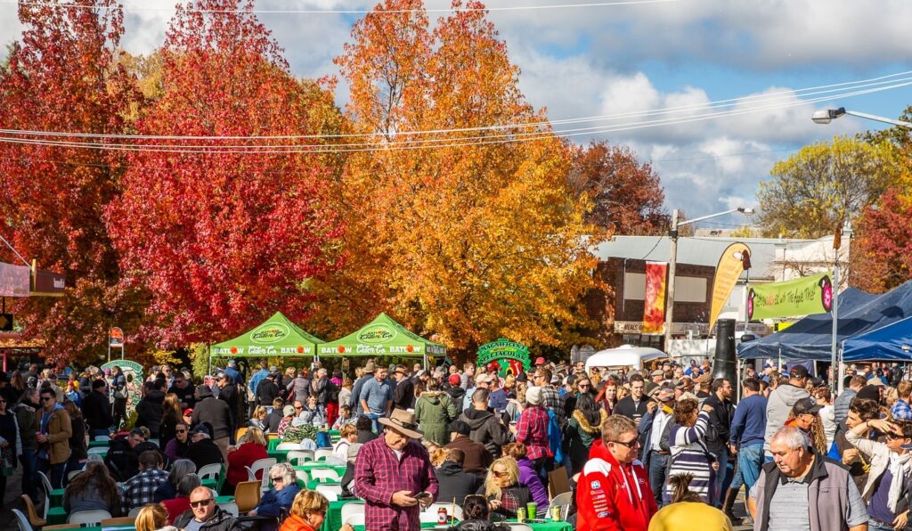 CiderFest crowds under brilliant red and orange autumn trees in Tumut.
