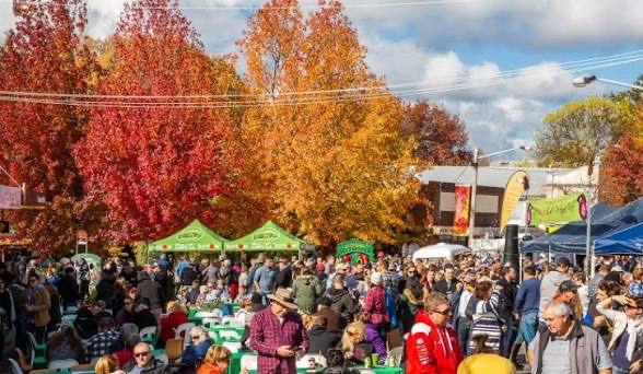 Crowds at the Falling Leaf Festival in Tumut surrounded by autumn foliage.