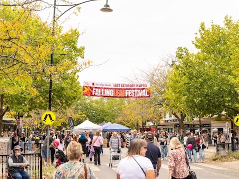 Busy festival scene in Tumut with autumn leaves and market stalls.