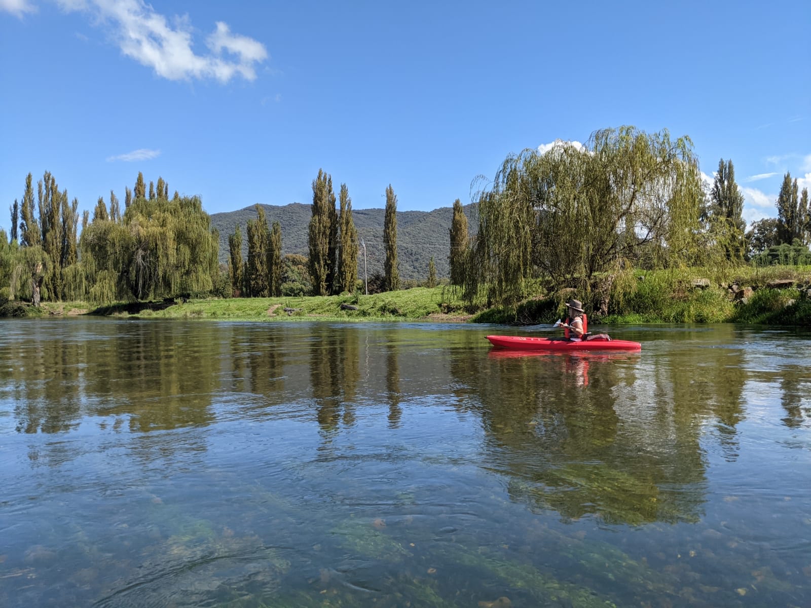 Kayaking on the Tumut River with willows and mountains in the background.